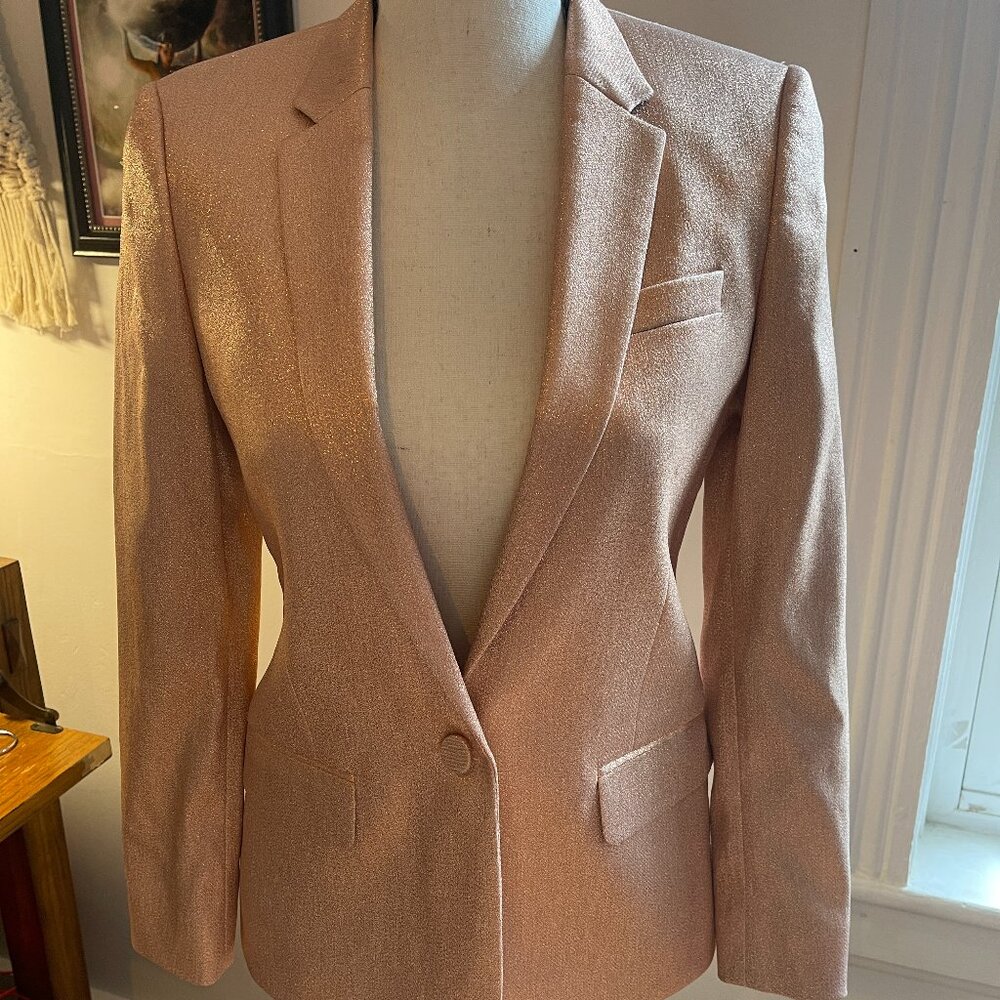 Topshop Pink Sparkle Blazer (US 2)
